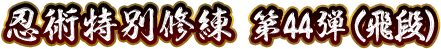 忍術特別修練 第44弾(飛段)