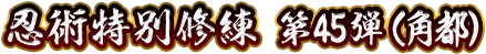 忍術特別修練 第45弾(角都)