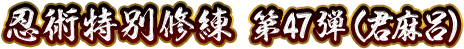 忍術特別修練 第47弾(君麻呂)